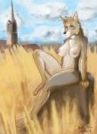  2023 anthro blokfort boots breasts brown_body brown_fur building canid canine canis clothing cloud coyote day female field footwear fur hi_res looking_at_viewer mammal nipples nude outside sitting sky smile solo yellow_eyes 