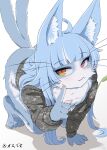  2023 4shi_(artist) 5_fingers 5_toes ahoge all_fours anthro barefoot blue_body blue_fur blue_hair blush bottomless bottomless_anthro bottomless_male camo camo_clothing camo_print claws clothed clothing countershading digital_media_(artwork) domestic_cat feet felid feline felis finger_claws fingers fluffy forked_tail fur girly hair heterochromia hi_res jacket japan_air_self-defense_force japanese_text kemono long_hair looking_at_viewer male male_anthro mammal multicolored_body multicolored_fur neck_tuft omaneko_(jasdf) pattern_clothing pink_nose pupils red_eyes slit_pupils solo tail text toes topwear translation_request tuft two_tone_body two_tone_fur unusual_anatomy unusual_tail whiskers white_body white_fur yellow_eyes 