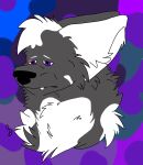  anthro ember_folf hi_res male solo 