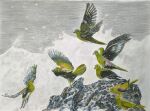  above_clouds animal bird cloud colored_pencil_(medium) highres mountain nakanaori31 no_humans original realistic signature snowing storm traditional_media white-bellied_green_pigeon 