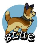  2012 ambiguous_gender badge blue_(bluekyokitty) blue_eyes blue_inner_ear blue_nose bluekyokitty brown_body brown_fur canid canine canis character_name conbadge digital_drawing_(artwork) digital_media_(artwork) digitigrade domestic_dog eyebrows feral flat_colors freckles full-length_portrait fur grey_sclera head_tuft herding_dog low_res mammal neckerchief open_mouth open_smile outline pastoral_dog pattern_kerchief pattern_neckerchief plaid_kerchief plaid_neckerchief portrait raised_tail sebdoggo smile solo standing tail tan_body tan_fur tuft welsh_corgi white_outline 