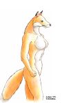  1998 anthro blue_eyes breasts canid canine female fox gradient_fur mammal navel simple_background small_hands solo standing tail tokimitsu traditional_media_(artwork) 