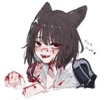  1girl animal_ears blood blood_in_hair blood_on_clothes blood_on_face blood_on_hands blush breasts brown_hair cat_ears cat_girl cleavage collared_shirt commentary_request kemonomimi_mode limbus_company moth_ram open_clothes open_mouth open_shirt paw_pose project_moon ryoshu_(limbus_company) sharp_teeth shirt short_hair simple_background sketch smile solo teeth tongue tongue_out translation_request white_background white_shirt 
