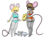  animal_humanoid anthro clothing duo female female/female hi_res humanoid jerma kaizooki mammal mammal_humanoid mouse mouse_humanoid murid murid_humanoid murine murine_humanoid rat rodent rodent_humanoid swimwear 