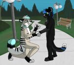  2013 aliasing anthro bench black_body black_fur black_hair black_nose blue_body blue_eyes blue_fur blue_highlights blue_sky bluekyokitty breasts canid canine cel_shading day detailed_background digit_ring digital_drawing_(artwork) digital_media_(artwork) duo engagement_ring eye_contact featureless_breasts felid female fur grass green_eyes grey_body grey_fur grey_inner_ear grey_nose hair hand_holding highlights_(coloring) hindpaw humanoid_hands jewelry kneeling looking_at_another male male/female mammal marriage_proposal melanistic nude on_one_knee outside pantherine park park_bench path paws plant plantigrade ponytail proposal ring ring_box romantic romantic_couple sebdoggo shaded sky street_lamp tail tan_body tan_fur tree white_body white_fur white_hair white_inner_ear 