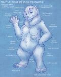  6_breasts anthro bear breasts brown_bear chubby_female english_text female flinters fur genitals grizzly_bear hair hi_res mammal multi_breast neck_tuft pussy slightly_chubby solo supernumerary_breasts text tuft ursine 
