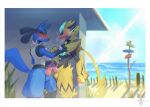  animal_genitalia animal_penis anthro balls beach blue_body blue_fur blush canid canine_genitalia canine_penis clenched_teeth day duo erection eyes_closed felid frottage fur generation_4_pokemon generation_7_pokemon genitals hand_spike hi_res legendary_pokemon lube_bottle lucario male male/male mammal nintendo nude outside penis pokemon pokemon_(species) sea seaside sex side_view standing sun sun_glare teeth tenebscuro water yellow_body yellow_fur zeraora 