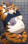  2023 96panda anthro belly big_belly bodily_fluids clothing eyes_closed felid genital_fluids genitals hi_res kemono male mammal moobs navel nipples overweight overweight_male pantherine penis precum shirt solo_focus sweat tiger topwear towel 