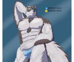  abs accessory anthro assassinfenrir black_nose blue_clothing bulge canid canine canis chest_tuft clothing colored digital_media_(artwork) fur fur_tuft grey_body grey_fur hand_behind_head headband hi_res horkeu_kamui_(tas) lifewonders looking_down male mammal multicolored_body multicolored_fur muscular muscular_anthro muscular_male nipples pecs shaded simple_background solo speedo swimwear tail tokyo_afterschool_summoners tuft two_tone_body two_tone_fur watermark wolf yellow_eyes 