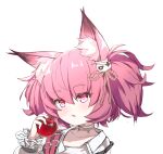  1girl absurdres animal_ear_fluff animal_ears apple arknights bandaged_neck bandages c309657344 collarbone fang food fruit hair_between_eyes hair_ornament heart heart-shaped_pupils highres holding holding_food holding_fruit long_sleeves looking_at_viewer parted_lips pink_hair puffy_long_sleeves puffy_sleeves purple_eyes red_apple shamare_(arknights) shirt simple_background solo symbol-shaped_pupils thick_eyebrows twintails upper_body white_background white_shirt 