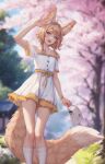  1girl :d ahoge animal_ear_piercing animal_ears arm_up bag braid brown_eyes brown_hair cherry_blossoms dress feet_out_of_frame fox_ears fox_girl fox_tail handbag highres holding holding_bag khiara_(personal_ami) large_tail looking_at_viewer medium_hair off-shoulder_dress off_shoulder open_mouth original outdoors personal_ami side_braids signature smile socks solo tail teeth upper_teeth_only white_dress white_socks 