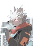  anthro black_body black_fur canid canine canis city city_background clothing domestic_dog facial_scar fur hair hoodie jacket lifewonders male mammal ruentn scar side_view solo tadatomo tokyo_afterschool_summoners topwear white_hair 