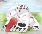  anus balls butt canid canine canis cudacore dalmatian domestic_dog erection feet genitals hi_res knot mammal pascal_(cudacore) paws penis presenting slightly_chubby tail toes 