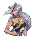  1girl animal_ears bare_arms bare_shoulders bodypaint breasts commentary fire_emblem fire_emblem:_radiant_dawn green_eyes grey_hair grin jewelry large_breasts long_hair nailah_(fire_emblem) neck_ring silvercandy_gum simple_background smile solo upper_body white_background wolf_ears 