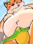  anthro belly blush canid canine clothed clothing erection erection_under_clothing fox fur green_eyes hi_res iyo_(tamacolle) licking licking_lips low-angle_view male mammal moobs navel nipples one_eye_closed orange_body orange_fur overweight siokun_dayo solo speedo swimwear tamacolle tongue tongue_out wink 