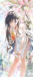  1girl absurdres angel bare_arms bare_shoulders black_hair blue_eyes blurry blurry_background breasts cherry_blossoms chinese_commentary cleavage commentary_request cup day disposable_cup dress dress_tug drinking drinking_straw eyelashes feet_out_of_frame halo highres holding holding_cup large_breasts leaning_forward long_hair looking_at_viewer low_wings one_eye_closed original outdoors pointy_ears solo standing swkl:d tree white_dress white_wings wings 