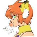  1girl animal_ears anzuni_(marblefrog) breath_of_fire breath_of_fire_ii cat_ears closed_mouth facial_mark green_eyes highres looking_at_viewer orange_hair pointy_ears rinpoo_chuan short_hair simple_background solo white_background 