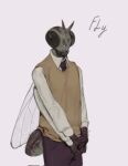  2023 4_arms anthro arthropod biped bottomwear clothed clothing digital_media_(artwork) dipteran english_text fully_clothed hi_res housefly insect kogito male multi_arm multi_limb necktie pants simple_background solo sweater text topwear white_background wings 