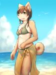  2022 absurd_res anthro beach breasts brown_body brown_fur brown_hair canid canine canis chest_tuft cloud cute_fangs day digital_media_(artwork) domestic_dog female fingerpads fur green_bikini_bottom green_bikini_top hair hi_res mammal mikazuki162 navel open_mouth outside pawpads sarong seaside smile solo tuft 