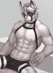  2023 abs anthro areola belt canid canine canis clothed clothing fur hair hi_res jannn_val looking_at_viewer male mammal mihoyo muscular muscular_anthro muscular_male navel nipples sitting solo underwear underwear_only von_lycaon white_body white_fur white_hair wolf zenless_zone_zero 