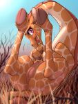  2023 ajin anus digital_media_(artwork) female feral fur genitals giraffe giraffid grass hi_res hooves long_neck looking_at_viewer mammal pink_eyes plant pussy solo spots spotted_body spotted_fur teats tree 