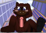  2023 4_toes anthro barefoot blue_eyes blush bodily_fluids brown_body brown_fur building cel_shading city clothed clothing erection feet fur genitals hi_res macro male mammal penis procyonid raccoon reggie_rakun reggie_rakun_(character) shaded solo street_lamp sweat sweatdrop toes 