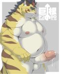  2023 anthro balls belly big_belly big_dick_day big_penis blush erection felid genitals hi_res hitachi_(tamacolle) japanese_text kemono male mammal moobs nipples overweight overweight_male pantherine penis ptcmtr simple_background solo tamacolle text tiger 