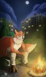  2023 absurd_res anthro campfire canid canine clothed clothing digital_drawing_(artwork) digital_media_(artwork) female fox fur hi_res mammal signature smile solo tail taylor_(pijanyrycerz) theonemasochist 