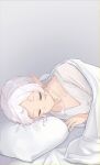  1girl absurdres bed bed_sheet closed_eyes closed_mouth elf ewz highres light_smile mushoku_tensei nightgown on_bed pillow pointy_ears short_hair sleeping solo sylphiette_(mushoku_tensei) white_hair 