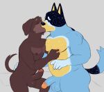  2023 anthro anthro_on_anthro areola australian_cattle_dog balls bandit_heeler belly blue_body blue_fur bluey_(series) bodily_fluids brown_body brown_fur butt canid canine canis cattledog digital_media_(artwork) domestic_dog duo erection eyebrows eyes_closed fido_(bluey) floppy_ears fur genitals glans herding_dog humanoid_genitalia humanoid_penis intraspecies kissing male male/male mammal monsterballz1 musclegut muscular muscular_anthro muscular_male navel nipple_fetish nipple_pinch nipple_play nipples nude pastoral_dog pecs penis pinch saliva sloppy_kiss tail yellow_body yellow_fur 