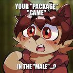  anthro blush brown_body brown_fur claws clothed clothing facial_tuft fluffy fluffy_hair fully_clothed fur gulonine hair hoodie male mammal marten meme mustelid musteline nyastroid open_mouth package pine_marten question_mark red_clothing red_eyes solo surprised_expression topwear tuft 