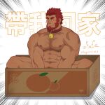  1boy abs animal_collar bara beard blush box closed_mouth collar completely_nude facial_hair fate/zero fate_(series) feiya6022 highres iskandar_(fate) large_pectorals male_focus muscular muscular_male navel nipples nude pectorals red_hair short_hair sitting solo translation_request 