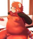  2023 ailurid anthro balls belly blush bodily_fluids classroom clothed clothing clothing_lift cum cum_on_belly cum_on_body detailed_background duo erection genital_fluids genitals hi_res humanoid_genitalia humanoid_hands humanoid_penis inside kemono male male/male mammal moobs nipples overweight overweight_male penis penis_size_difference red_panda school shirt shirt_lift sitting small_penis solo_focus sweat topwear yukio_ammy 