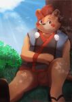  2023 anthro balls bear brown_body detailed_background flaccid genitals hi_res inugamihito kemono male mammal oosumi_(tamacolle) outside overweight overweight_male penis sitting solo tamacolle young 