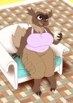  2021 absurd_res anthro barefoot beverage big_breasts bottomwear breasts brown_body brown_eyes brown_fur chair clothing feet female fur furniture generation_3_pokemon halcy0n hi_res holding_beverage holding_object nintendo open_mouth pants pokemon pokemon_(species) sitting smile solo topwear zigzagoon 