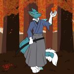  1:1 anthro asian_clothing blue_body blue_fur clothing east_asian_clothing falling_leaves fenril_(spicy_flakes) frost_jeckals_(huf13) fur hi_res japanese_clothing katana kimono looking_up male melee_weapon nature nature_background neck_tuft signature skull_bunz_official solo sword tail tail_tuft tuft weapon white_arms white_feet 