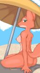  9:16 absurd_res animal_humanoid anthro beach beach_towel beach_umbrella breasts butt canid canid_humanoid canine canine_humanoid canis diane_foxington dreamworks female fox fox_humanoid fox_tail hands_behind_back hands_on_hips hi_res humanoid looking_at_viewer mammal mammal_humanoid nipples photo_background photography_(artwork) rear_view red_fox sand seaside skade_(artist) solo tail the_bad_guys towel umbrella wide_hips 
