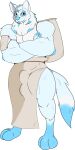  2022 absurd_res anthro blue_body blue_ears blue_fur blue_hair blue_tail bulge bulge_under_clothes canid canine canis clothing fur grey_body grey_clothing grey_ears grey_fur grey_tail hair hi_res male mammal sheath_bulge solo succubusbnny tail white_body white_ears white_fur white_hair white_tail wolf 