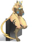  absurd_res anthro aurora_(nbanoob) big_breasts blonde_hair blue_eyes blush breasts female fur generation_7_pokemon genitals hair hi_res huge_breasts jimmynimha legendary_pokemon looking_at_viewer nintendo nipples nude open_mouth pokemon pokemon_(species) simple_background solo yellow_body yellow_fur zeraora 