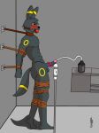  anthro ball_gag bdsm bondage bound eeveelution gag generation_2_pokemon hi_res machine male male/male milking_machine nintendo pecs pokemon pokemon_(species) pokemorph sex_toy umbreon vibrator 