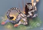 anthro bethesda_softworks breasts butt claws digital_media_(artwork) faisonne feet felid feline female fur genitals green_eyes hair hi_res khajiit looking_at_viewer mammal medium_breasts nipples nude pawpads paws presenting presenting_hindquarters pussy raised_tail shivvra simple_background solo striped_body striped_fur stripes tail the_elder_scrolls white_body white_fur 