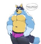  2023 absurd_res anthro australian_cattle_dog bandit_heeler belly big_belly big_bulge big_muscles bluey_(series) bottomwear bottomwear_pull bulge canid canine canis cattledog clothed clothing clothing_pull dialogue domestic_dog english_text eyebrows eyes_closed fur herding_dog hi_res kajin-sama male mammal meme musclegut muscular muscular_anthro muscular_male navel pants pants_pull pastoral_dog pecs simple_background solo standing text tight_pants_(meme) topless topless_anthro topless_male tuft underwear unzipped white_background zipper 