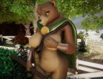  3d_(artwork) anthro armello armguard blackdragontemeraire breasts cape clothing digital_media_(artwork) dock emblem female fence flower holding_breast holding_object lake looking_at_viewer nipples plant pouch_(anatomy) pouch_purse pubes road sana_(armello) shrub solo staff 