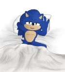  anthro bed bedroom_eyes eulipotyphlan female furniture hedgehog hi_res human male male/female male_pubes mammal narrowed_eyes pubes pubes_exposed seductive sega sonic_the_hedgehog sonic_the_hedgehog_(film) sonic_the_hedgehog_(series) 