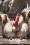  anal bodily_fluids canid canine cum feral fox genital_fluids genitals male mammal pawpads penis red_fox solo white 