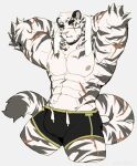  1boy abs absurdres animal_ears arknights arms_behind_head bara black_shorts bulge cropped_legs facial_hair furry furry_male goatee highres kitai_su large_pectorals looking_at_viewer male_focus mountain_(arknights) muscular muscular_male nipples pectorals scar scar_across_eye scar_on_arm short_hair shorts solo stomach thick_eyebrows thick_thighs thighs tiger_boy tiger_ears topless_male towel towel_around_neck white_background white_hair 