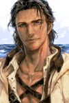  1boy adventurer_(ff14) beach black_hair blue_eyes blue_sky final_fantasy final_fantasy_xiv highres hyur kin_mokusei long_hair ocean scar sky warrior_of_light_(ff14) 