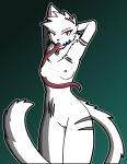 anthro breasts collar felid female fur genitals glowing glowing_eyes hands_behind_head hi_res long_tongue mammal miksu4542 neck_tuft notched_ear one_ear pussy red_eyes scar scars_all_over small_breasts solo tongue tuft white_body white_fur 