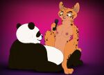  absurd_res anthro bear breasts cowgirl_position dreamworks duo felid feline female from_front_position giant_panda hi_res kung_fu_panda lynx male male/female mammal master_po_ping microphone nipples nude on_bottom on_top queen_zuma qunt sex smile 