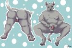  anatomically_correct anatomically_correct_genitalia anatomically_correct_penis animal_genitalia animal_penis anthro canid canine canine_genitalia canine_penis canis domestic_dog fat_belly genitals kimef male mammal obese obese_anthro obese_male overweight overweight_anthro overweight_male penis small_penis solo 